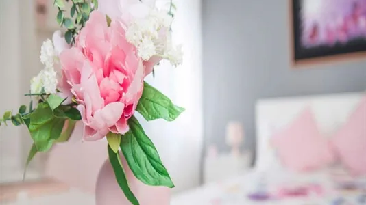 Rooms in Milano Zona 2 - Stazione Centrale, Gorla, Turro, Greco, Crescenzago - photo 5