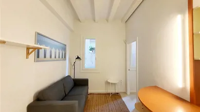 Apartment for rent in Barcelona Ciutat Vella, Barcelona