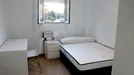 Room for rent, el Camí de Vera, Comunidad Valenciana, Avinguda del Primat Reig