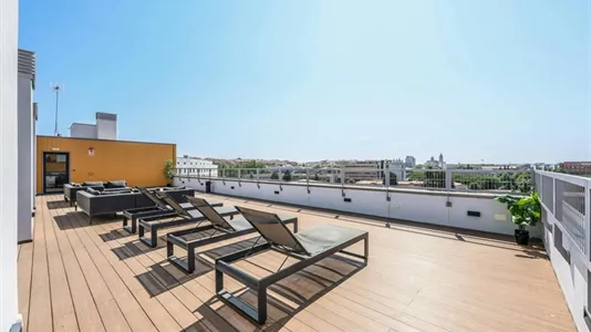 Apartments in Salamanca - photo 8