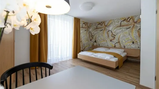 Apartments in Freiburg im Breisgau - photo 1