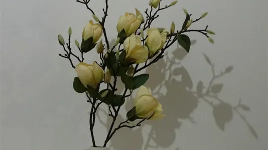 Apartments in Athens Agios Nikolaos - photo 10