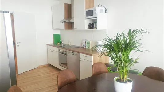 Rooms in Vienna Josefstadt - photo 10