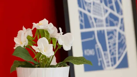 Rooms in Milano Zona 1 - Centro storico - photo 2