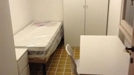 Rooms in Roma Municipio VIII – Appia Antica - photo 3