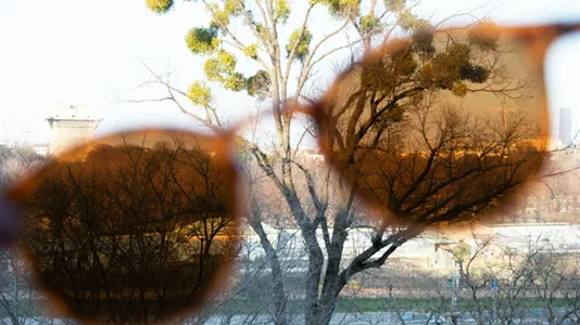 Rooms in Vienna Leopoldstadt - photo 4