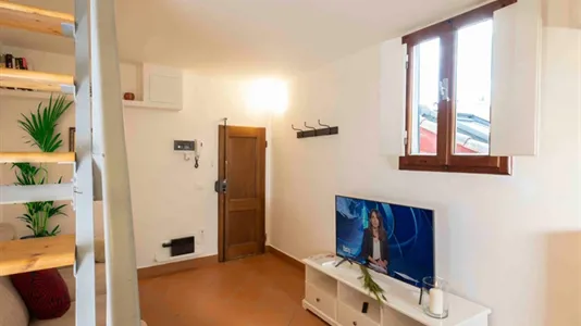 Apartments in Florence - photo 3