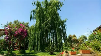 Apartment for rent in Siracusa, Sicilia