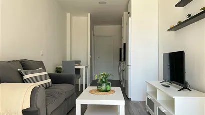 Apartment for rent in Madrid Ciudad Lineal, Madrid