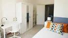 Room for rent, Bologna, Emilia-Romagna, Via Irnerio