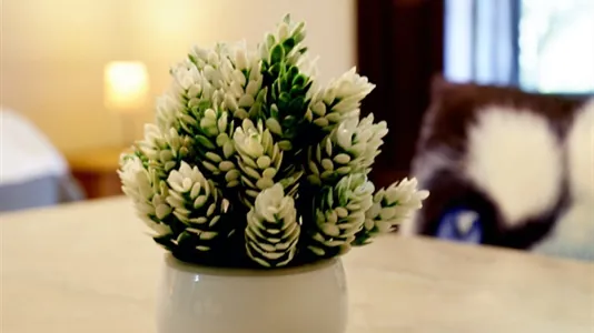 Apartments in Madrid Centro - photo 8