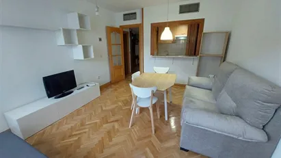 Apartment for rent in Madrid Salamanca, Madrid