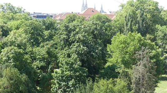 Rooms in Vienna Alsergrund - photo 7