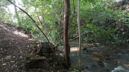 Rooms in Mondovì - photo 8