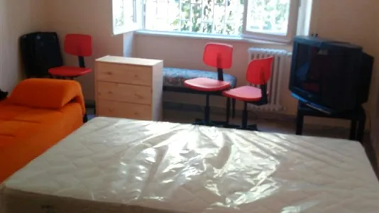 Rooms in Roma Municipio VIII – Appia Antica - photo 3