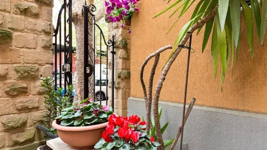 Apartments in Roma Municipio VII – Appio-Latino/Tuscolano/Cinecittà - photo 6