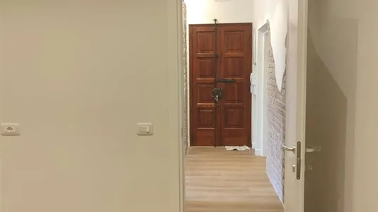 Rooms in Padua - photo 6