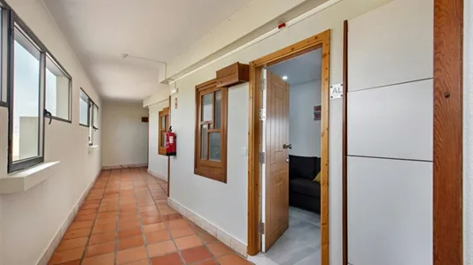 Apartments in Tavira - photo 10