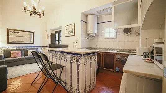 Houses in Évora - photo 9