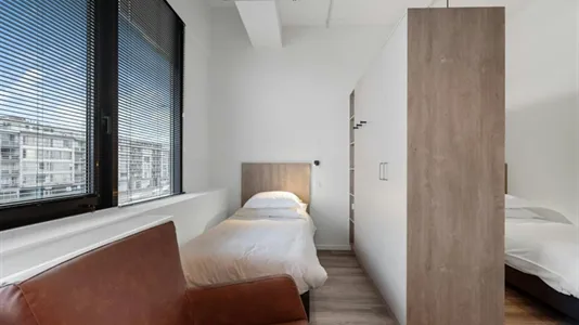 Apartments in Antwerp Deurne - photo 8