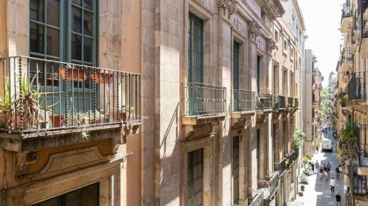 Apartments in Barcelona Ciutat Vella - photo 5