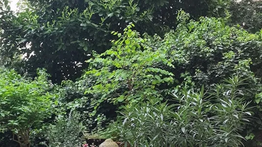 Rooms in Frankfurt Innenstadt I - photo 2