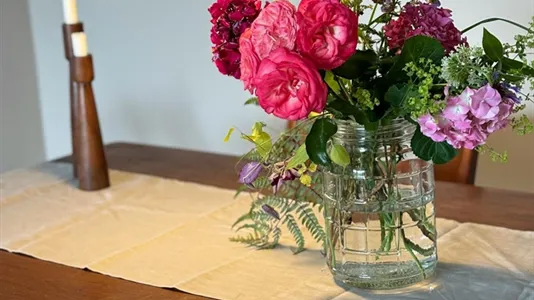 Apartments in Cologne Lindenthal - photo 6