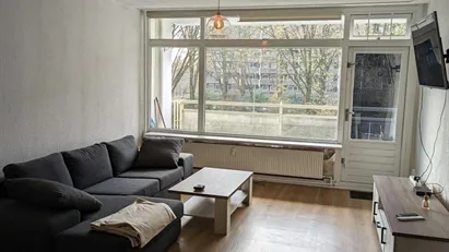 Apartment for rent in Amsterdam