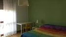 Room for rent, Padua, Veneto, Corso del Popolo