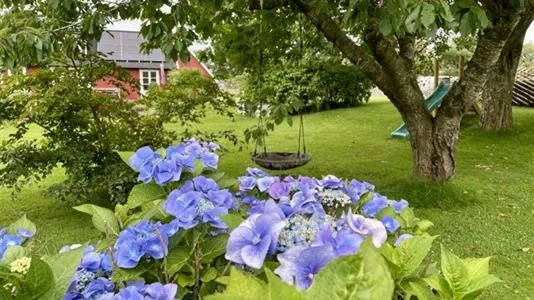 Houses in Båstad - photo 15