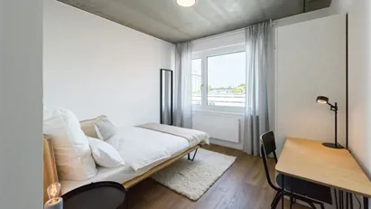 Room for rent in Frankfurt (region)