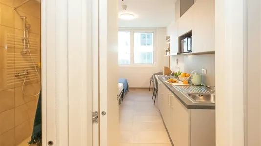 Apartments in Florence - photo 4