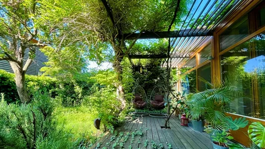 Rooms in Maria Enzersdorf - photo 5