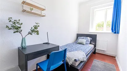 Room for rent in Berlin Treptow-Köpenick, Berlin