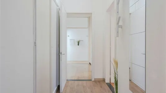 Rooms in Padua - photo 10