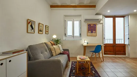 Apartments in Barcelona Ciutat Vella - photo 3