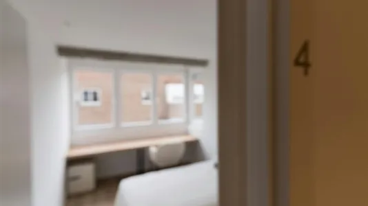 Rooms in Adaro - photo 5