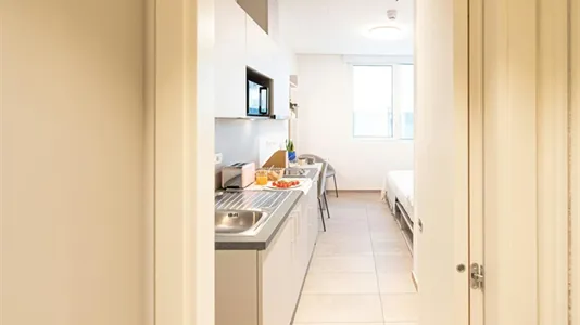 Apartments in Florence - photo 4