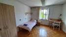 Room for rent, Besnica, Osrednjeslovenska, Cesta na Brdo