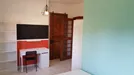 Room for rent, Pisa, Toscana, Piazza Giuseppe Toniolo