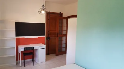 Room for rent in Pisa, Toscana