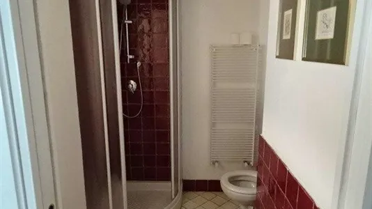 Houses in Fiesole - photo 5