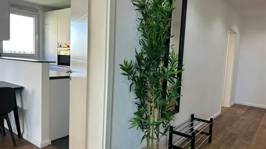 Apartments in Offenbach am Main - photo 4