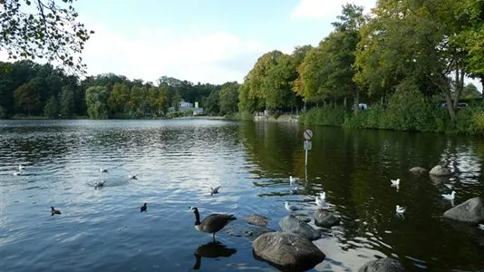 Apartments in Hamburg Harburg - photo 3