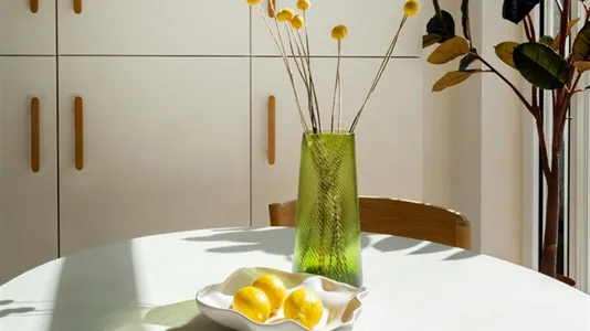 Apartments in Leidschendam-Voorburg - photo 9