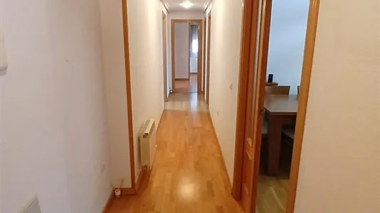 Rooms in Valladolid - photo 9