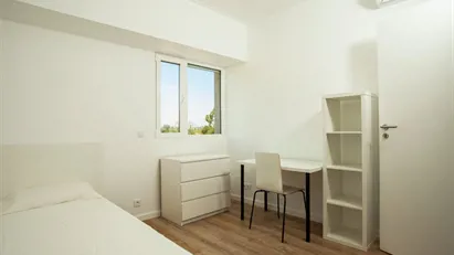 Room for rent in Lisbon (region)