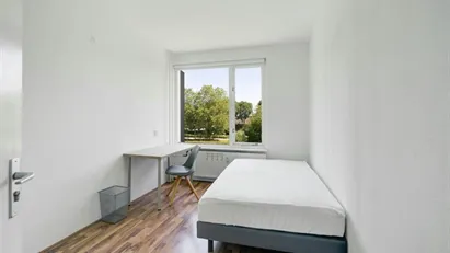 Room for rent in Rotterdam
