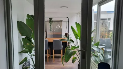 Room for rent in Rotterdam