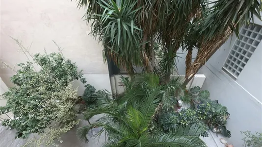 Rooms in Athens Akadimia Platonos - photo 4